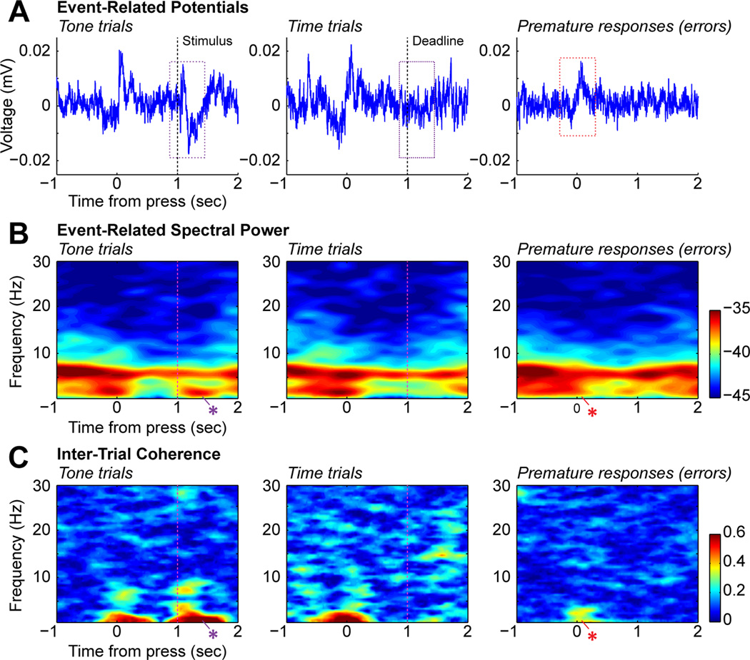 Mistakes were made: Neural mechanisms for the adaptive control of action initiation by the medial prefrontal cortex