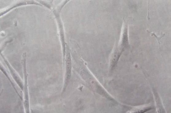 Abstract Image
