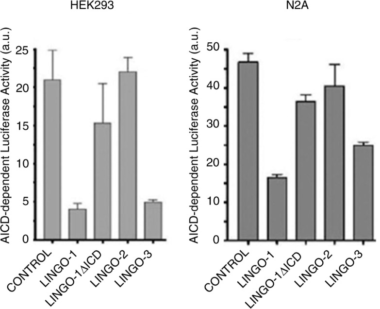 LINGO-1 promotes lysosomal degradation of amyloid-β protein precursor.
