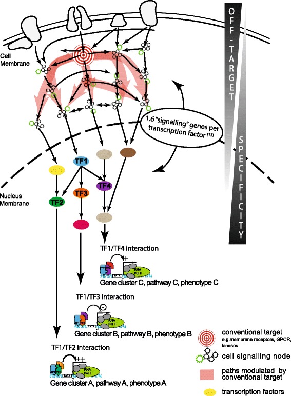 Pharmacological manipulation of transcription factor protein-protein interactions: opportunities and obstacles