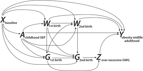 Socioeconomic disadvantage in childhood as a predictor of excessive gestational weight gain and obesity in midlife adulthood.