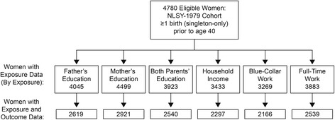 Socioeconomic disadvantage in childhood as a predictor of excessive gestational weight gain and obesity in midlife adulthood.