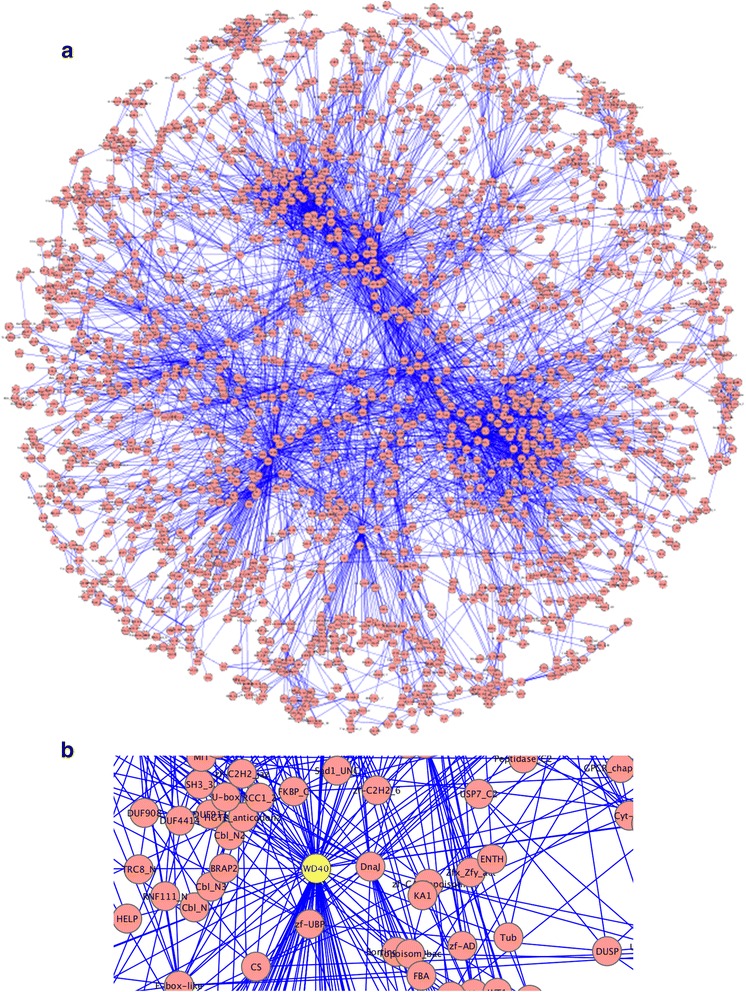 K-core decomposition of a protein domain co-occurrence network reveals lower cancer mutation rates for interior cores.