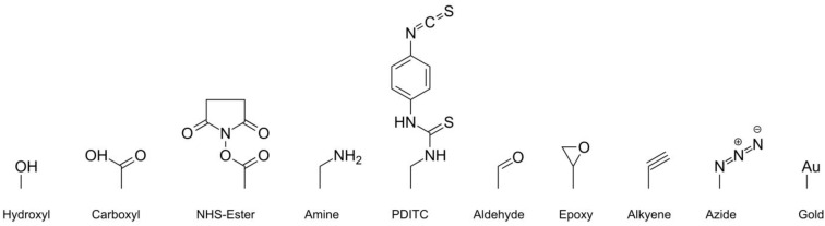 Aptamer Microarrays-Current Status and Future Prospects.
