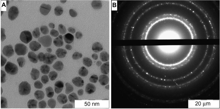 In vitro studies of the toxic effects of silver nanoparticles on HeLa and U937 cells.