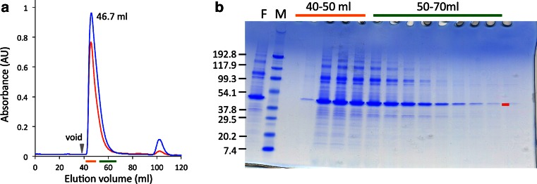 Expression, purification, crystallization, and preliminary X-ray crystallographic studies of the human adiponectin receptors, AdipoR1 and AdipoR2.