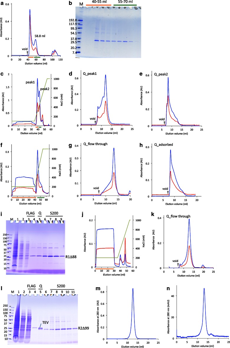 Expression, purification, crystallization, and preliminary X-ray crystallographic studies of the human adiponectin receptors, AdipoR1 and AdipoR2.