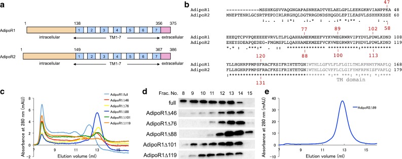 Expression, purification, crystallization, and preliminary X-ray crystallographic studies of the human adiponectin receptors, AdipoR1 and AdipoR2.