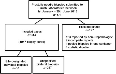 Length of prostate biopsies is not necessarily compromised by pooling multiple cores in one paraffin block: an observational study.