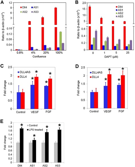 Delta-like 4 mRNA is regulated by adjacent natural antisense transcripts.