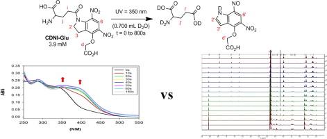 Unambiguous evaluation of the relative photolysis rates of nitro indolinyl protecting groups critical for brain network studies