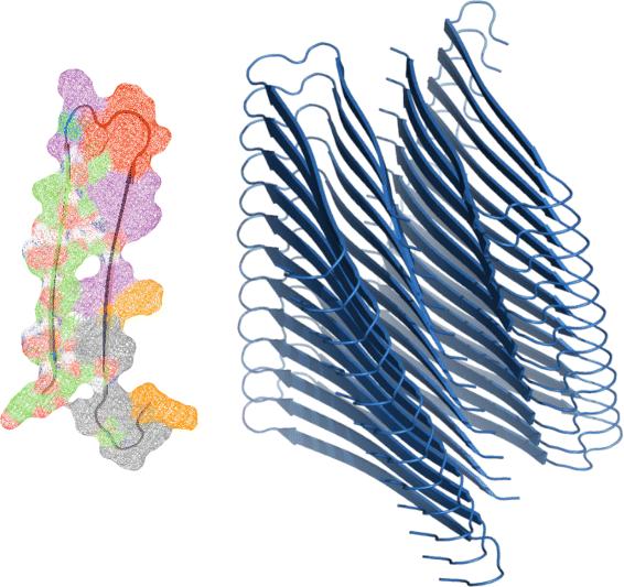 Computational re-engineering of Amylin sequence with reduced amyloidogenic potential