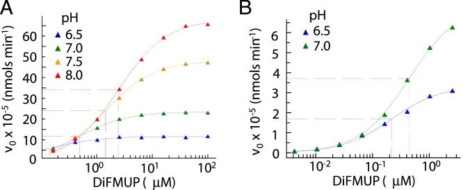 Development, validation and quantitative assessment of an enzymatic assay suitable for small molecule screening and profiling: A case-study