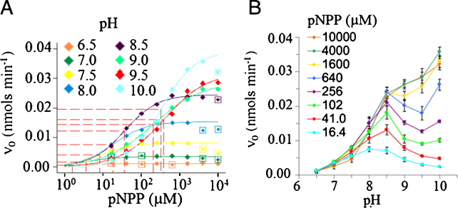 Development, validation and quantitative assessment of an enzymatic assay suitable for small molecule screening and profiling: A case-study