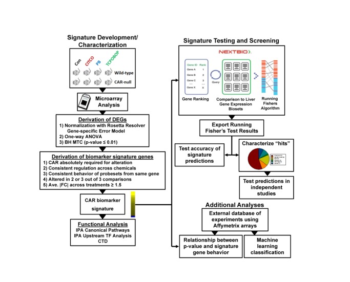 Identification of chemical modulators of the constitutive activated receptor (CAR) in a gene expression compendium.