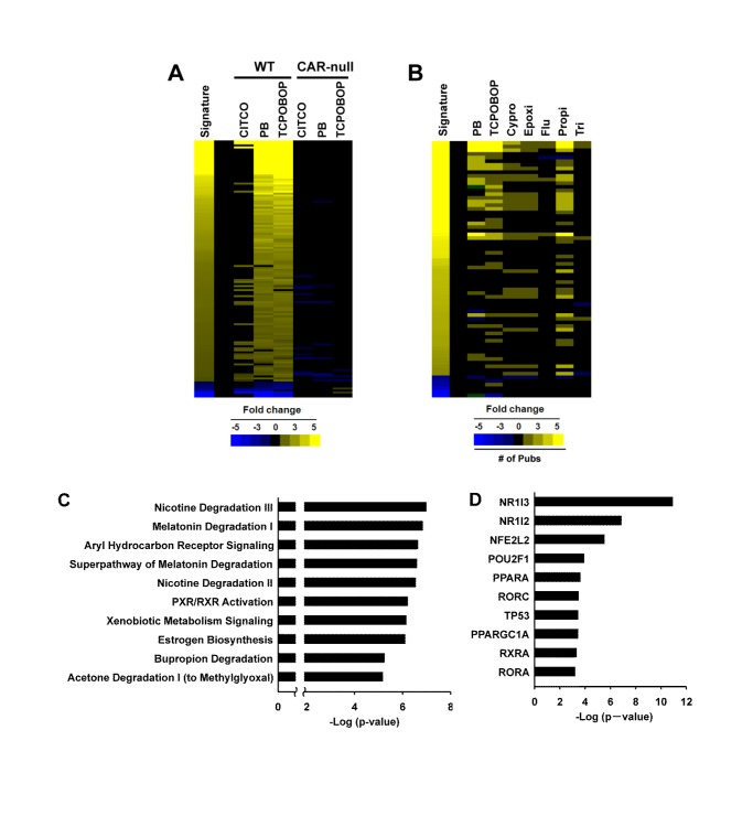 Identification of chemical modulators of the constitutive activated receptor (CAR) in a gene expression compendium.