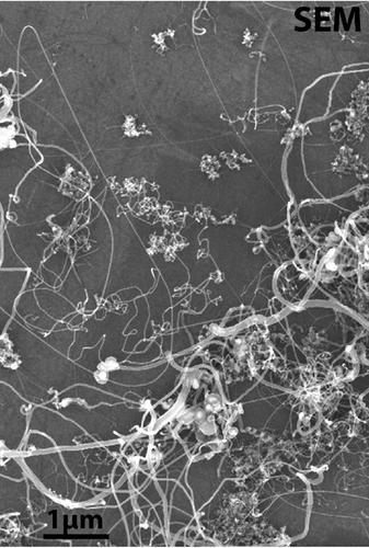 Synthesis of Carbon Nanotubes from Propane