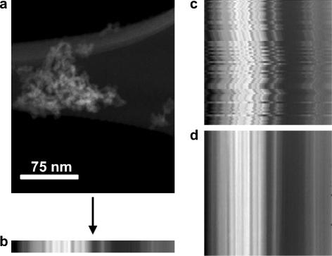 Physically motivated global alignment method for electron tomography