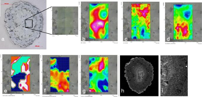 Biomineralisation by earthworms – an investigation into the stability and distribution of amorphous calcium carbonate