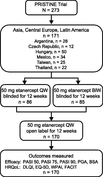 Effect of etanercept therapy on psoriasis symptoms in patients from Latin America, Central Europe, and Asia: a subset analysis of the PRISTINE trial.