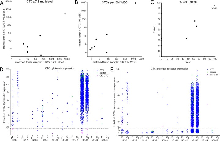 Detection and Characterization of Circulating Tumour Cells from Frozen Peripheral Blood Mononuclear Cells.