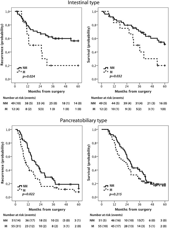 Prognostic and predictive significance of podocalyxin-like protein expression in pancreatic and periampullary adenocarcinoma.