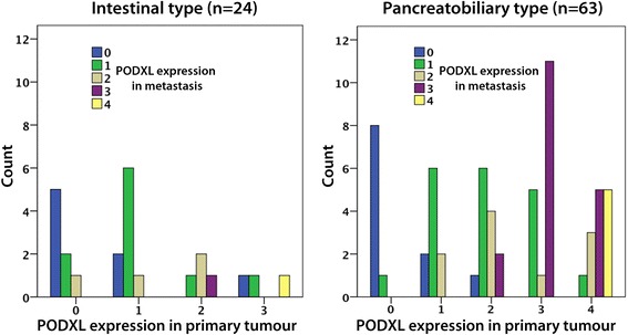 Prognostic and predictive significance of podocalyxin-like protein expression in pancreatic and periampullary adenocarcinoma.