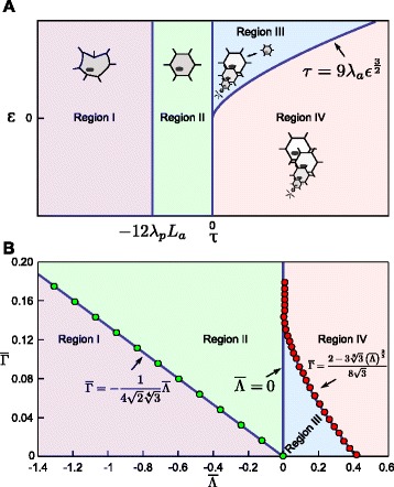 The biophysical nature of cells: potential cell behaviours revealed by analytical and computational studies of cell surface mechanics.