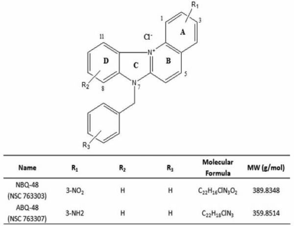 Immunomodulatory Response Triggered by the Alkaloids, 3-Amino-7-Benzylbenzimidazo[3,2-<i>a</i>] Quinolinium Chloride (ABQ-48) and 3-Nitro-7-Benzylbenzimidazo [3,2-<i>a</i>] Quinolinium Chloride (NBQ-48).