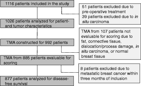 Tumor-specific expression of HMG-CoA reductase in a population-based cohort of breast cancer patients.