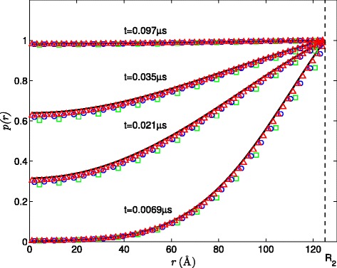 Numerical calculation of protein-ligand binding rates through solution of the Smoluchowski equation using smoothed particle hydrodynamics.