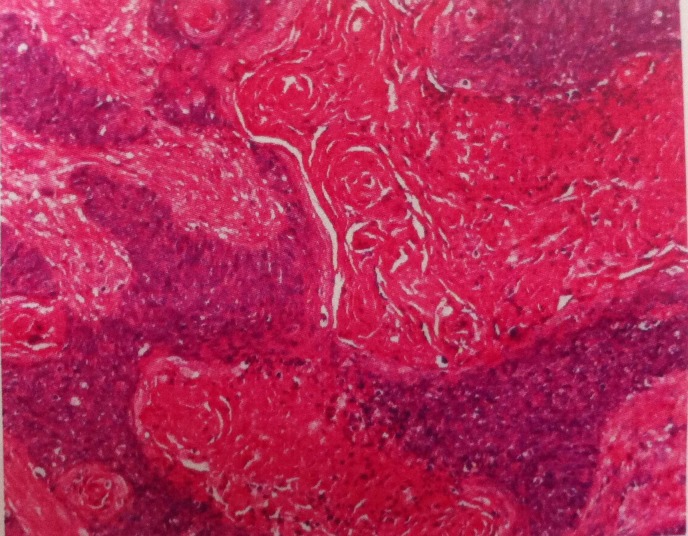 Abstract Image