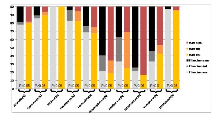 Spread of Enterococcal Surface Protein in Antibiotic Resistant Entero-coccus faecium and Enterococcus faecalis isolates from Urinary Tract Infections.