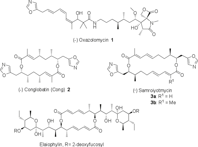 Iterative Mechanism of Macrodiolide Formation in the Anticancer Compound Conglobatin.