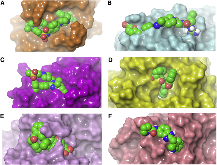 Overcoming Chemical, Biological, and Computational Challenges in the Development of Inhibitors Targeting Protein-Protein Interactions.