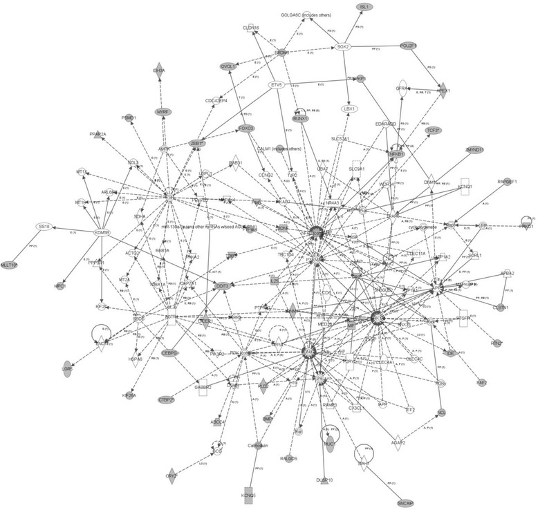 Insights into the origin of DNA methylation differences between monozygotic twins discordant for schizophrenia.