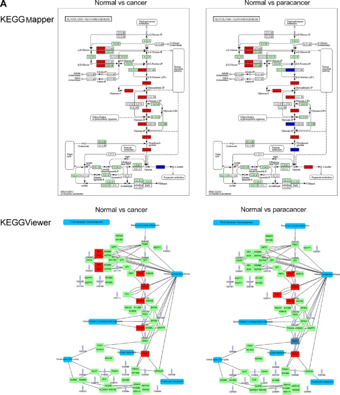 Tools for visualization and analysis of molecular networks, pathways, and -omics data.