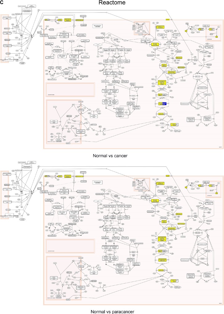 Tools for visualization and analysis of molecular networks, pathways, and -omics data.