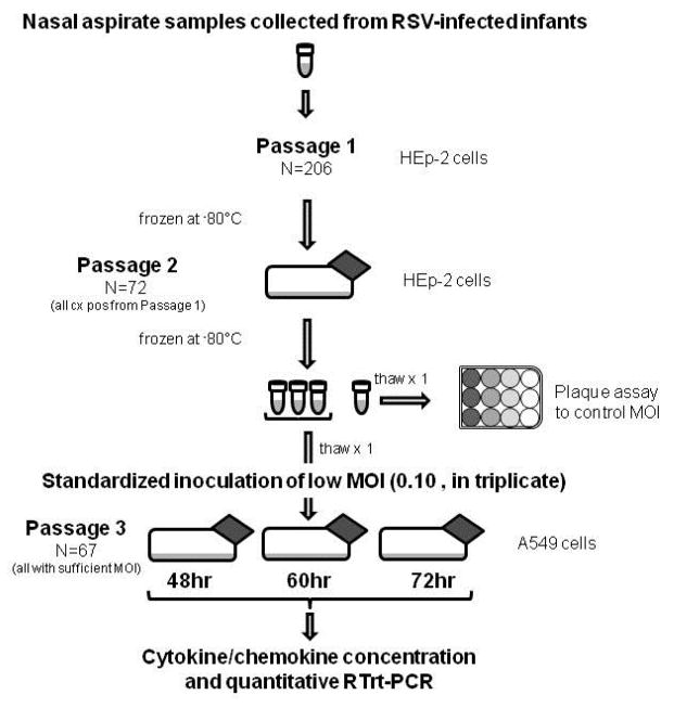 Viral Specific Factors Contribute to Clinical Respiratory Syncytial Virus Disease Severity Differences in Infants.