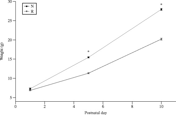 Effects of postnatal growth restriction and subsequent catch-up growth on neurodevelopment and glucose homeostasis in rats.