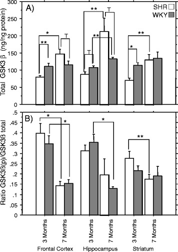 Characterization of cognitive deficits in spontaneously hypertensive rats, accompanied by brain insulin receptor dysfunction.