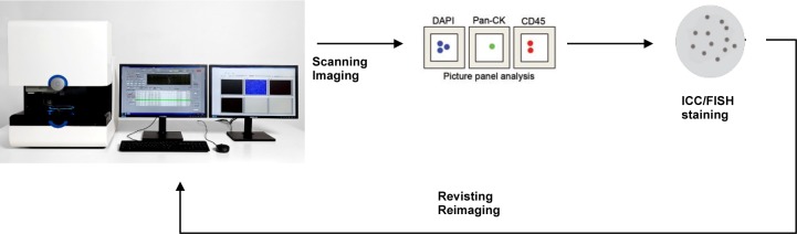 Retracing Circulating Tumour Cells for Biomarker Characterization after Enumeration.