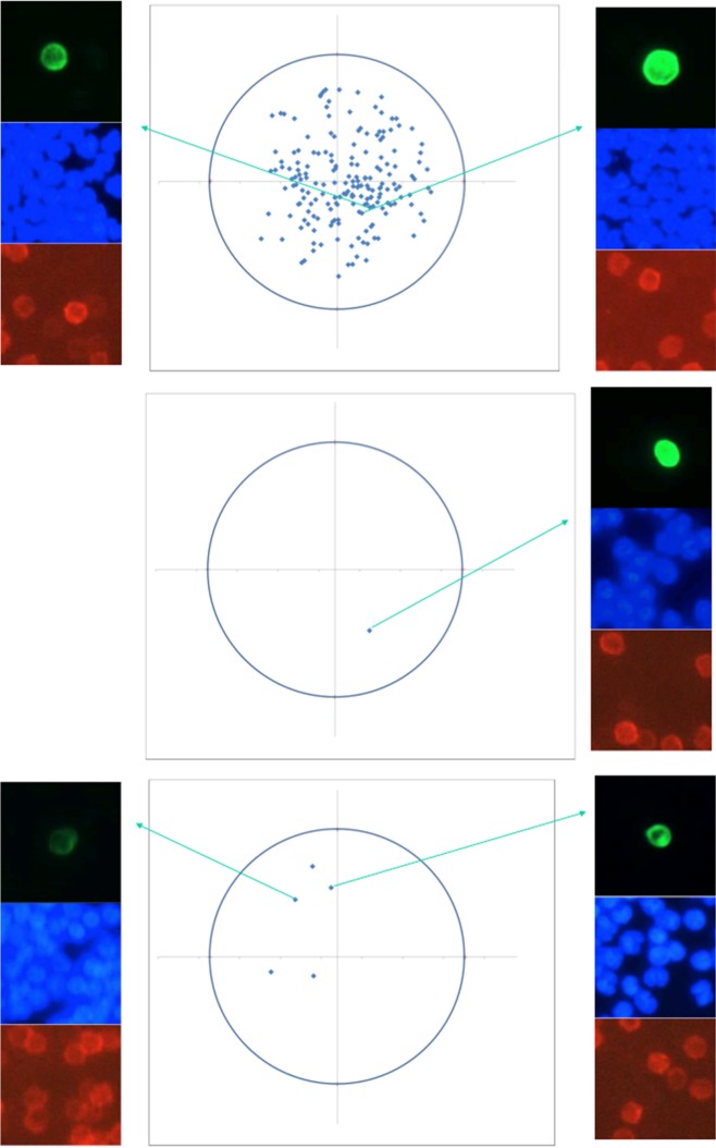 Retracing Circulating Tumour Cells for Biomarker Characterization after Enumeration.