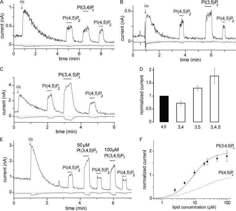 Transient receptor potential melastatin 3 is a phosphoinositide-dependent ion channel.