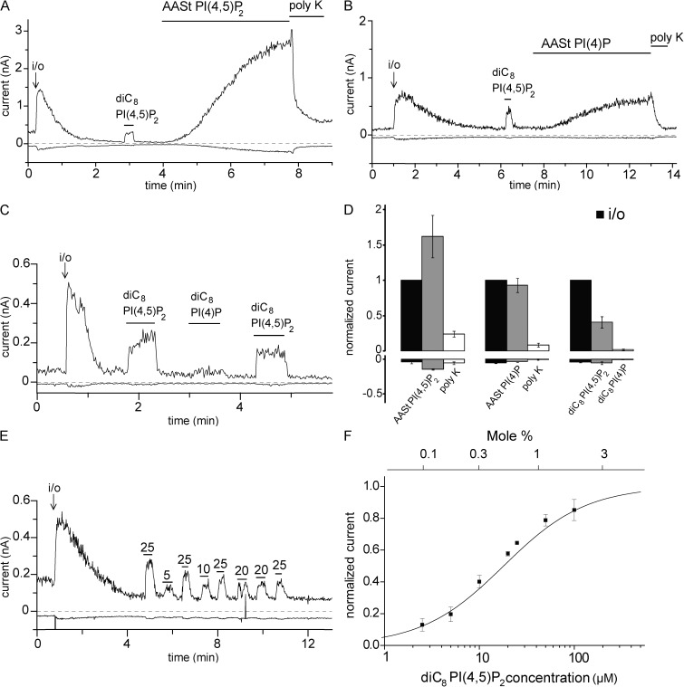 Transient receptor potential melastatin 3 is a phosphoinositide-dependent ion channel.