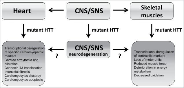 Huntington's disease is a multi-system disorder.