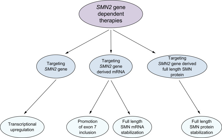 Current and emerging treatment options for spinal muscular atrophy.