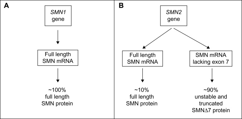 Current and emerging treatment options for spinal muscular atrophy.