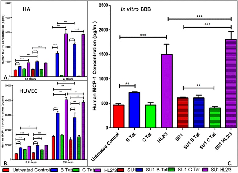 Sutherlandia frutescens may exacerbate HIV-associated neuroinflammation.