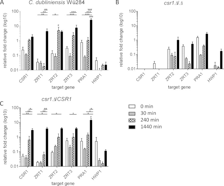 Csr1/Zap1 Maintains Zinc Homeostasis and Influences Virulence in Candida dubliniensis but Is Not Coupled to Morphogenesis.